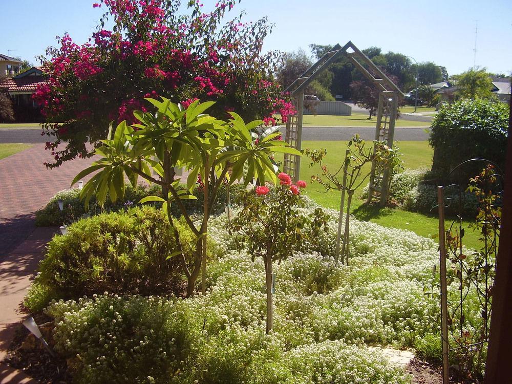 Busselton Marina Bed And Breakfast Exterior photo